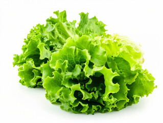 A fresh bunch of lettuce leaves isolated on a white background.