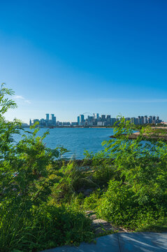 a vertical photo of urban skyline including high-rise skyscrapers and coastal rocks and grass, taken in a coastal park of Qianhai sub-district of Shenzhen, China