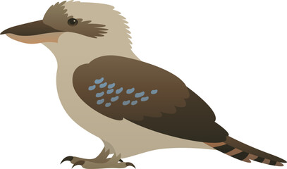 Color vector illustration of kookaburra. Wild bird isolated on white background. Wildlife of Australia and New Guinea.