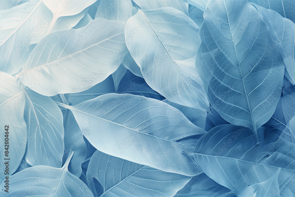 Poster A serene and artistic rendering of overlapping leaves in a delicate blue hue, creating a calming and visually appealing abstract pattern reminiscent of natural elements and tranquility