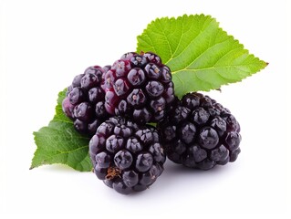 Fototapeta premium Bunch of mulberries with green leaf on a white background.