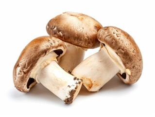 A close-up photo of three fresh mushrooms isolated on a white background.