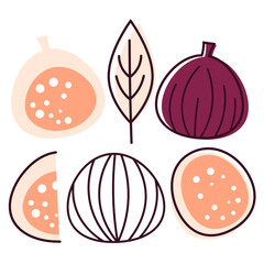 Set of modern cut and whole figs