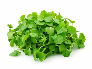 Obraz premium A pile of fresh green watercress leaves on a white background.