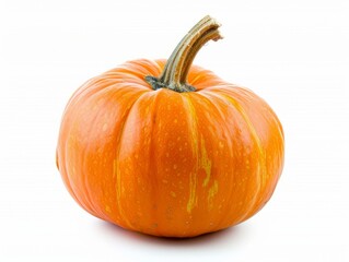 Obraz premium Pumpkin with a green stem, isolated on a white background.