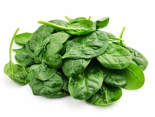 Fototapeta premium Pile of fresh spinach leaves isolated on a white background.