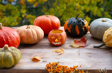 Pumpkins integral part of autumn pumpkins decor, Yellow Leaves, Autumn Decor and Creativity,...