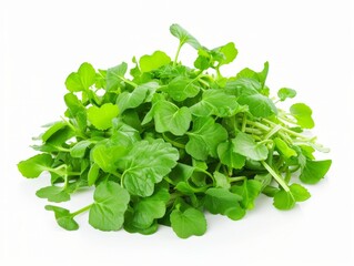 Obraz premium A pile of fresh green watercress leaves on a white background.