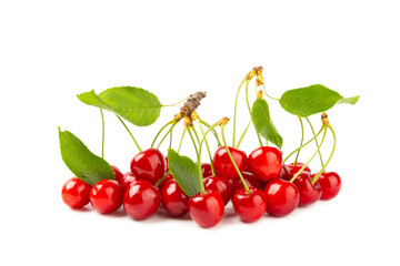 Cherry isolated. Fresh ripe cherries with leaves isolated on a white background.Sweet cherries pile. Berries and fruits. Vegan. Healthy eating.