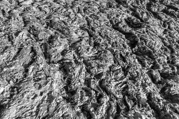 the surface of dry sea foam in  black and white
