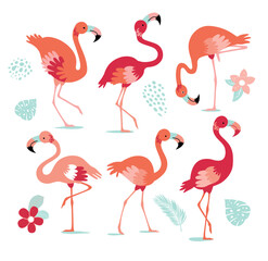 Set of pink flamingos. Exotic bird in different poses. Flamingos with beautiful pink wings. Vector illustration