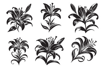 Lily flower  vector illustration