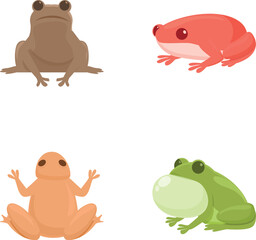 Cartoon frog icons set cartoon vector. Colorful cartoon wild frog. Amphibian reptile