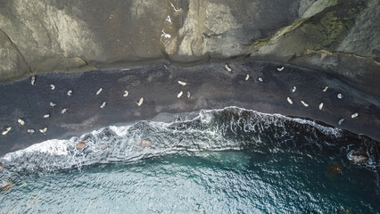 Deception Island, Antarctica. Inactive volcano © Oleksandr Matsibura