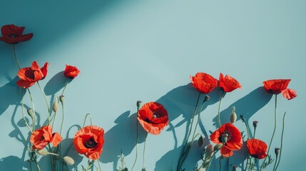Obraz premium Red poppies scattered across a serene blue background, minimalist style, Anzac Day theme, soft shadows, clean and calm composition
