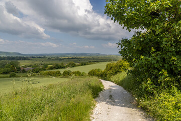 A green Sussex landscape along the South Downs Way
