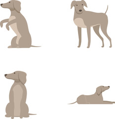 Greyhound icons set cartoon vector. Cute english greyhound dog. Pet, animal
