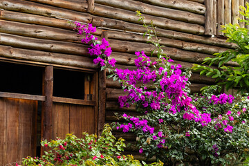 Fototapeta premium Jardin de flores en cabaña de madera