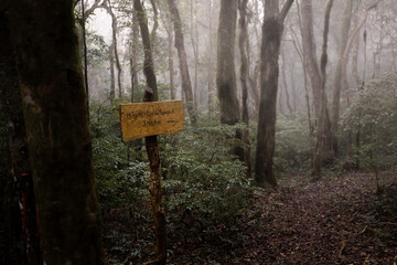 Sinalização na floresta com nevoeiro