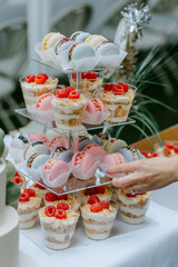 Dessert bar with macarons on the party 