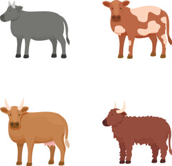 Collection of four different cartoon cows in flat design style, suitable for educational and agricultural graphics