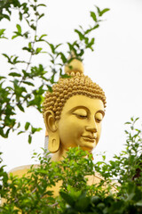 The Giant Budah of Bangkok between the green bushes