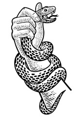 hand holding a snake sketch engraving PNG illustration. T-shirt apparel print design. Scratch board imitation. Black and white hand drawn image.
