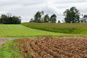 Agriculture fields at  the Flemish countryside around Opwijk, Flemish Brabant, Belgium