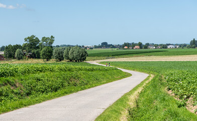 The meandering West Tour cycling trail through the agriculture fields around Hooglede, West Flanders , Belgium