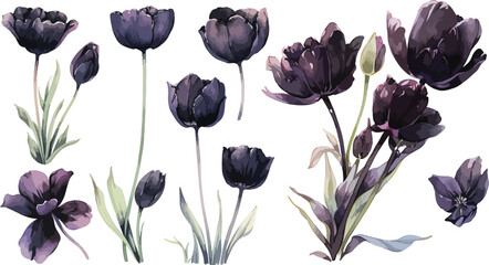 black tulip clipart vector for graphic resources	
