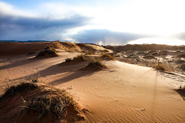 Coral Pink Sand Dunes State Park, Utah, United States