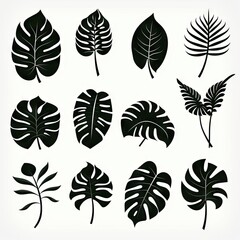 Monstera Leaf Icon Collection, Exotic Leaves Silhouettes, Tropical Plant Symbols, Simple Monstera