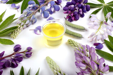 Still Life of Lupine Flowers, Lupine Beans and Aromatic Lupine Oil.