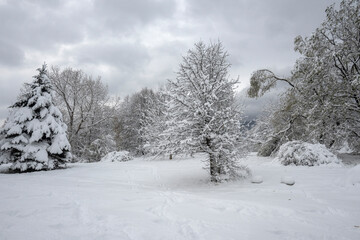 Winter Landscape of South Park in city of Sofia, Bulgaria