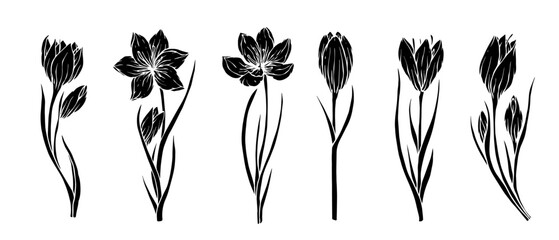 Set of silhouettes, stamps of spring flowers and crocus buds.Vector graphics.