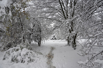 Winter Landscape of South Park in city of Sofia, Bulgaria