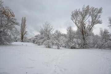 Winter Landscape of South Park in city of Sofia, Bulgaria