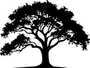 Silhouette of a Tree - Essence of Nature and Growth