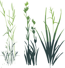 Obraz premium Vector Silhouettes of Grasses and Plants, Minimalist Nature Design