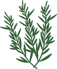 Fototapeta premium Vector Illustration of Green Botanical Herb Symbolizing Freshness