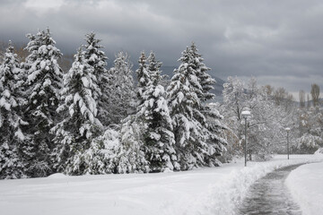 Winter Landscape of South Park in city of Sofia, Bulgaria