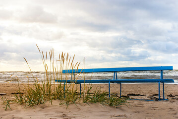 sand dunes in the morning on the beach - lonely blue bench on the beach in Jurmala Latvia