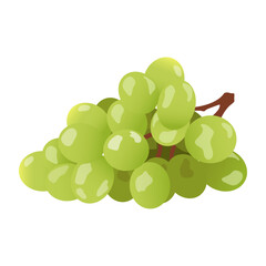 Bunch of green grapes, cartoon sweet food of kids lunchbox. Funny juicy fresh ripe muscat grapes, cartoon cute berry dessert for lunch of child, juicy healthy vitamin snack vector illustration