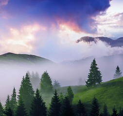 panoramic summer foggy scenery, scenic sunrise morning view in Carpathian mountains, Ukraine, Europe