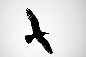 Obraz premium Silhouette of a bird soaring in the sky with wings outstretched