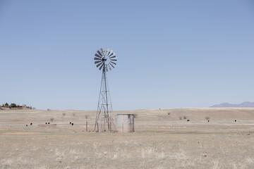 sonoita
az
arizona
wine country
cow
moo
calf
mom
mommy
moo
mountain
blue
purple
nature
wildlife
beauty
windmill
farm
farmhouse
water
drinking
laying
animals
animal
grass
green
az
arizona 

country, so