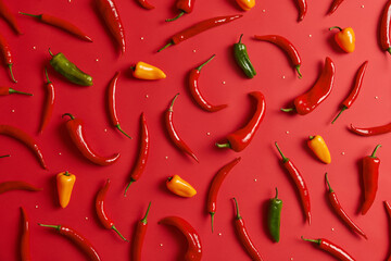 Colorful spicy chili peppers isolated on red background. Hot green yellow and red pepper used to...