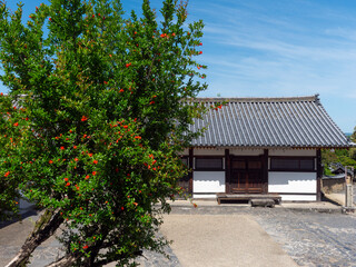 柘榴の木とお堂