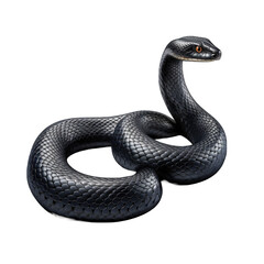 realistic hand drawn snake png