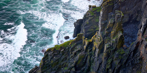 Birds finding refuge above the waves on the Cliffs of Moher, Ireland